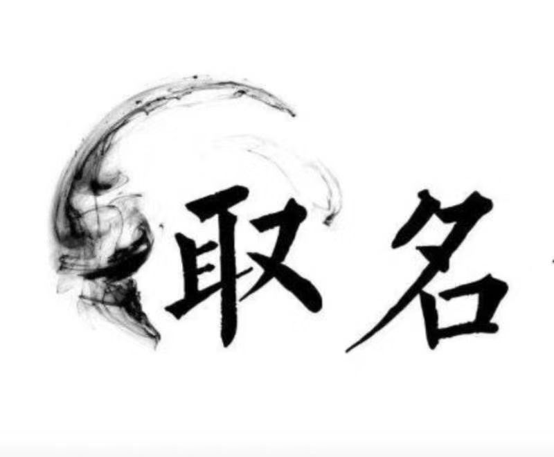  新平宝宝取名 大师一对一人工起名